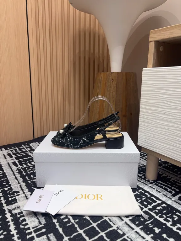 Dior Shoe 